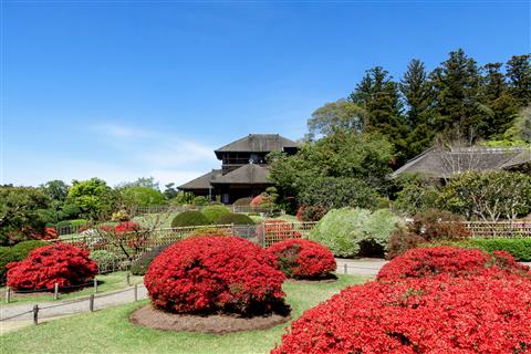日本三名園　水戸・偕楽園（春頃撮影）
